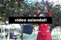 Video Aziendali
