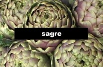 Sagre